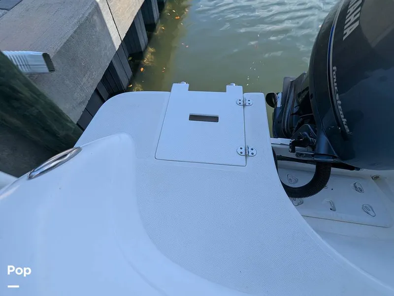 Slide: The Image of Hurricane SD217 2019 - 16373870