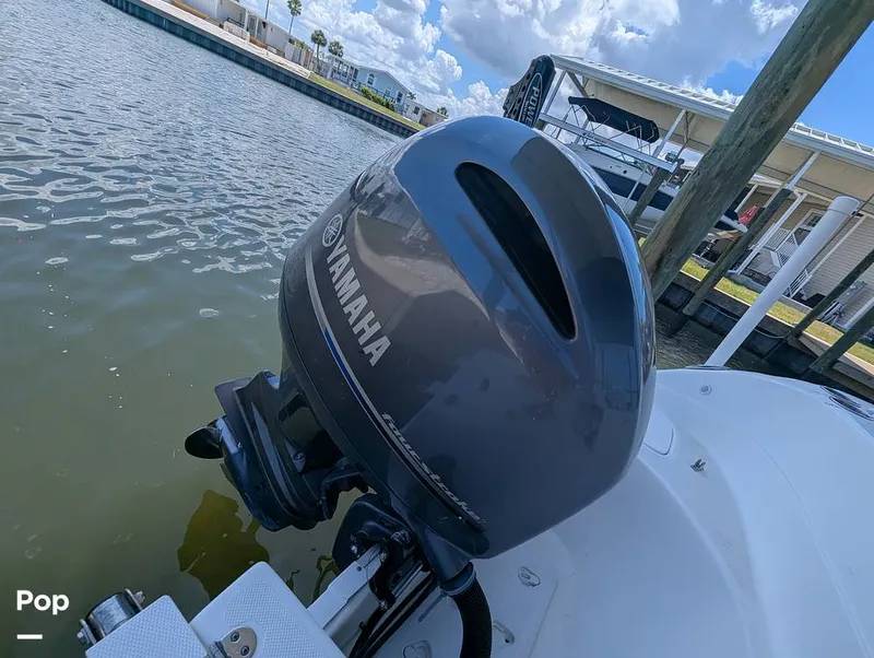 Slide: The Image of Hurricane SD217 2019 - 16373874