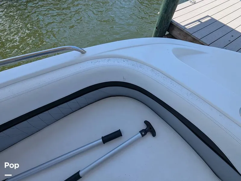 Slide: The Image of Hurricane SD217 2019 - 16373895