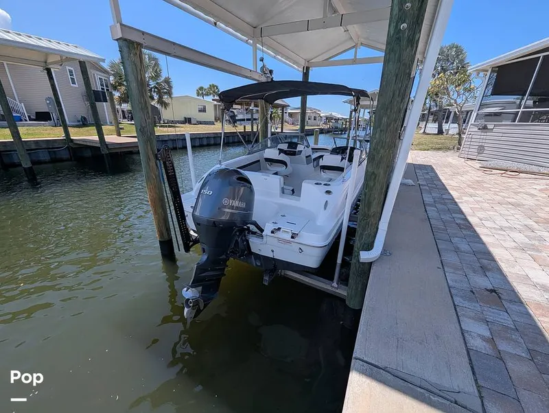 Slide: The Image of Hurricane SD217 2019 - 16373905