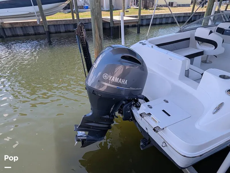 Slide: The Image of Hurricane SD217 2019 - 16373908