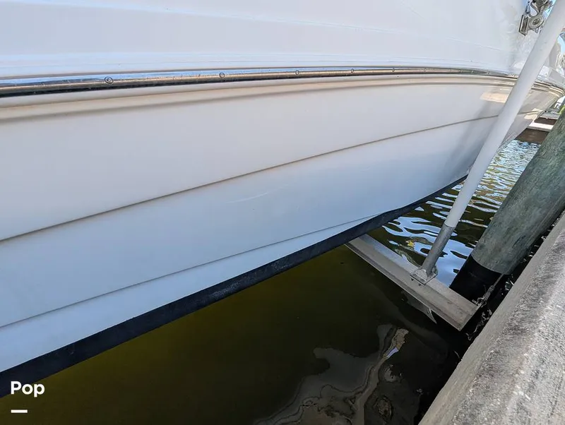 Slide: The Image of Hurricane SD217 2019 - 16373912