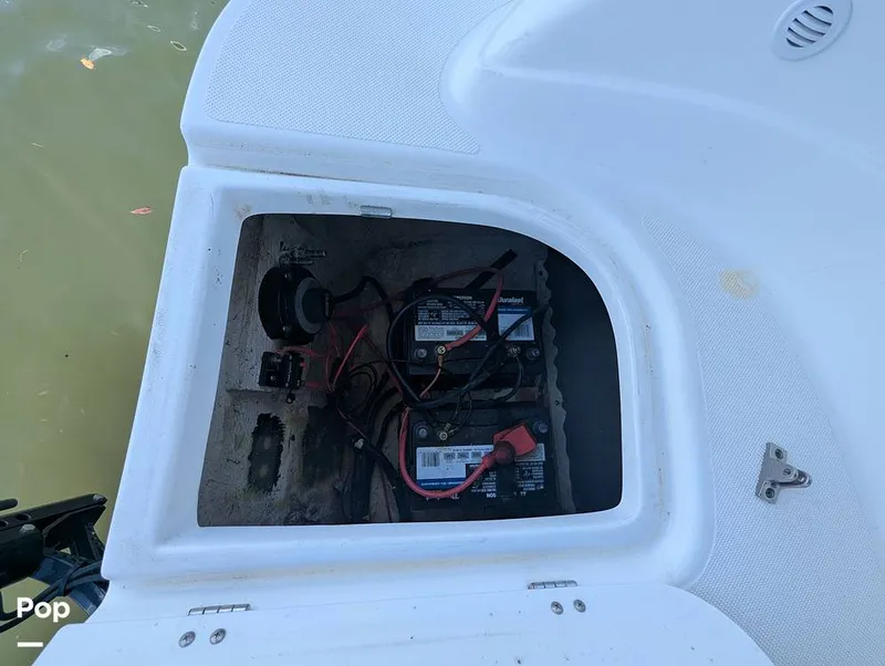 Slide: The Image of Hurricane SD217 2019 - 16373913