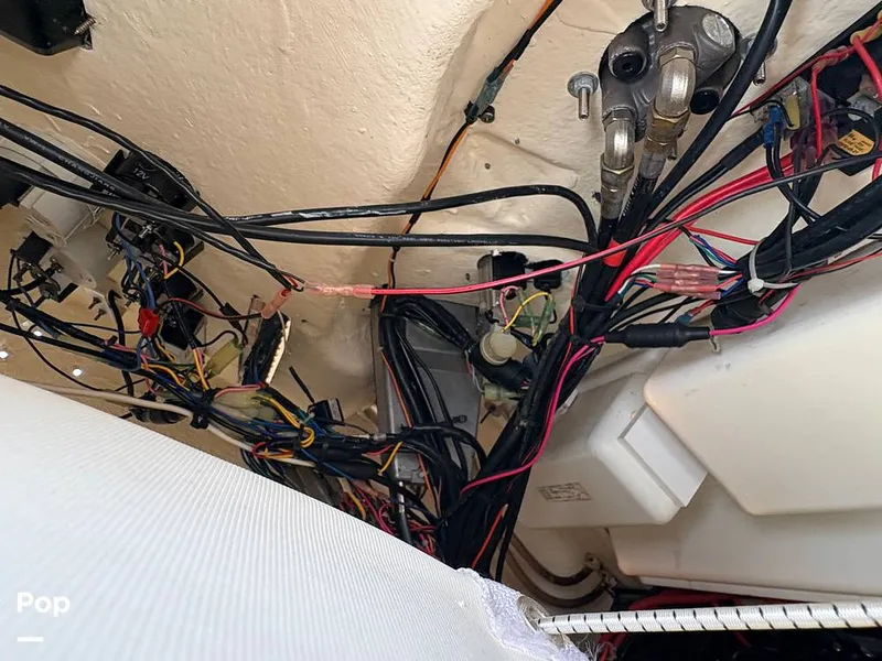 Slide: The Image of Tidewater 2110 Carolina 2021 - 16373200