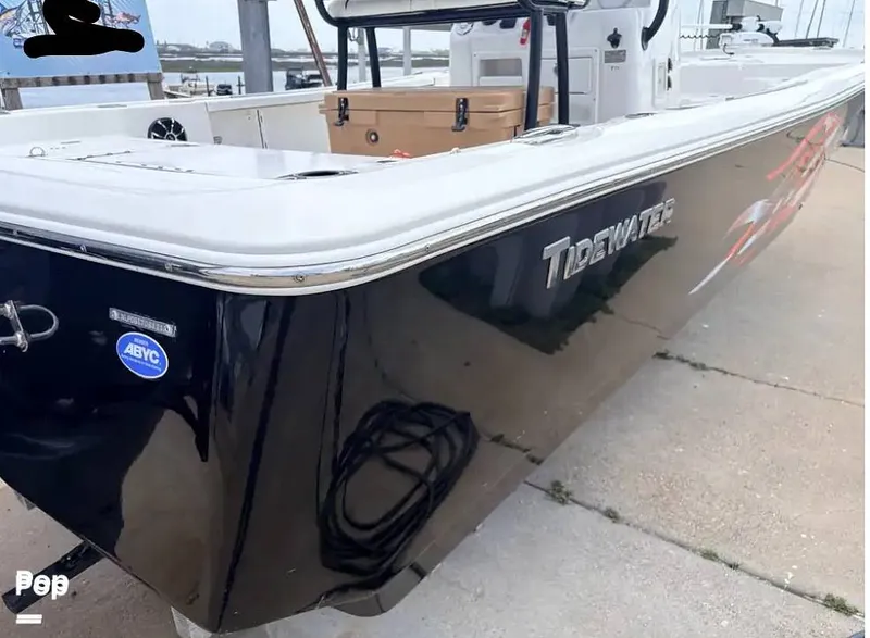 Slide: The Image of Tidewater 2110 Carolina 2021 - 16378349