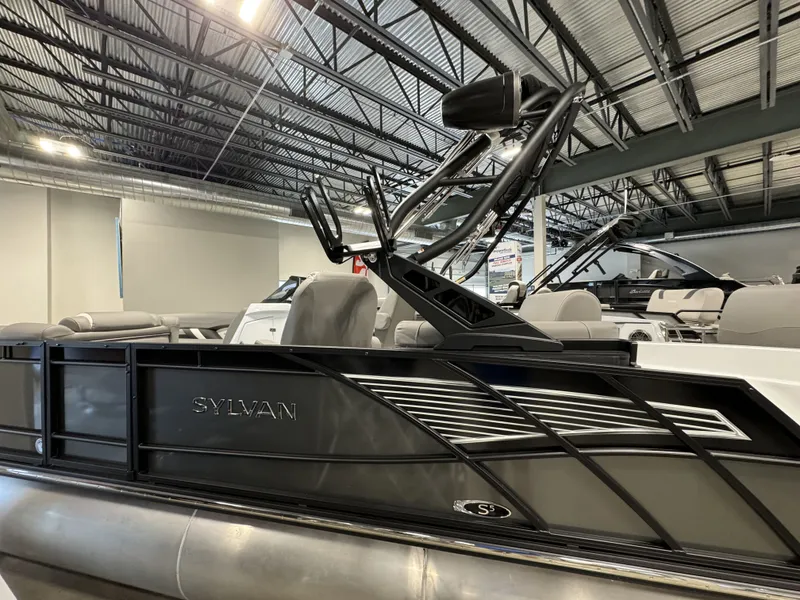 Slide: The Image of Sylvan S-5 2024 - 1