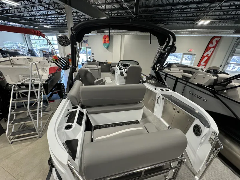 Slide: The Image of Sylvan S-5 2024 - 11