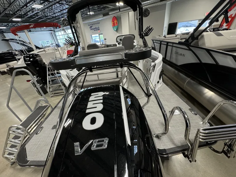 Slide: The Image of Sylvan S-5 2024 - 12