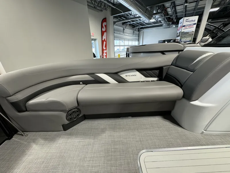 Slide: The Image of Sylvan S-5 2024 - 4