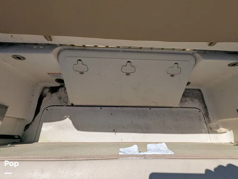 Slide: The Image of Scout 210 Dorado 2023 - 16785782