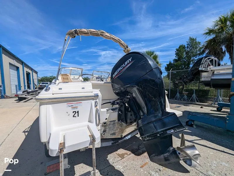 Slide: The Image of Scout 210 Dorado 2023 - 16785796