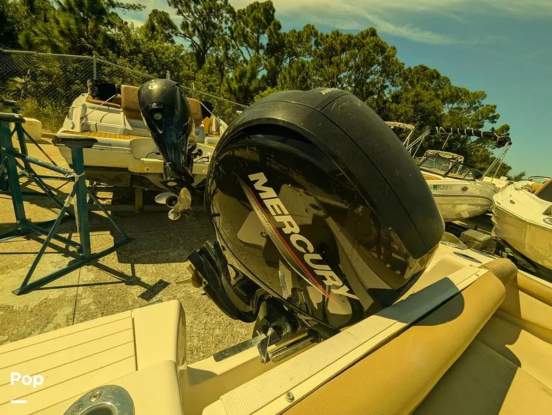 Slide: The Image of Scout 210 Dorado 2023 - 16785792