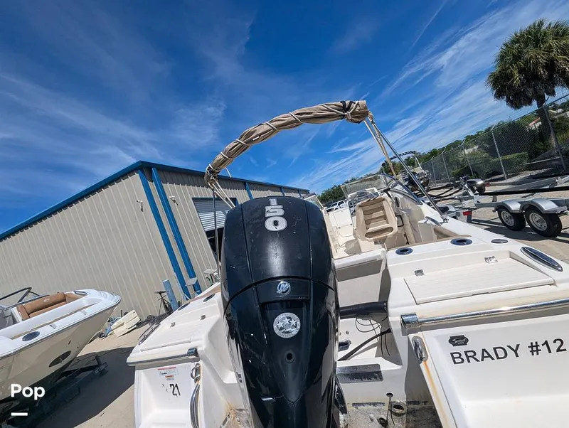 Slide: The Image of Scout 210 Dorado 2023 - 16785798