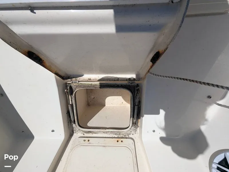 Slide: The Image of Scout 210 Dorado 2023 - 16785772