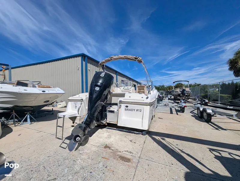 Slide: The Image of Scout 210 Dorado 2023 - 16785807