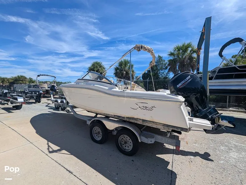 Slide: The Image of Scout 210 Dorado 2023 - 16785617