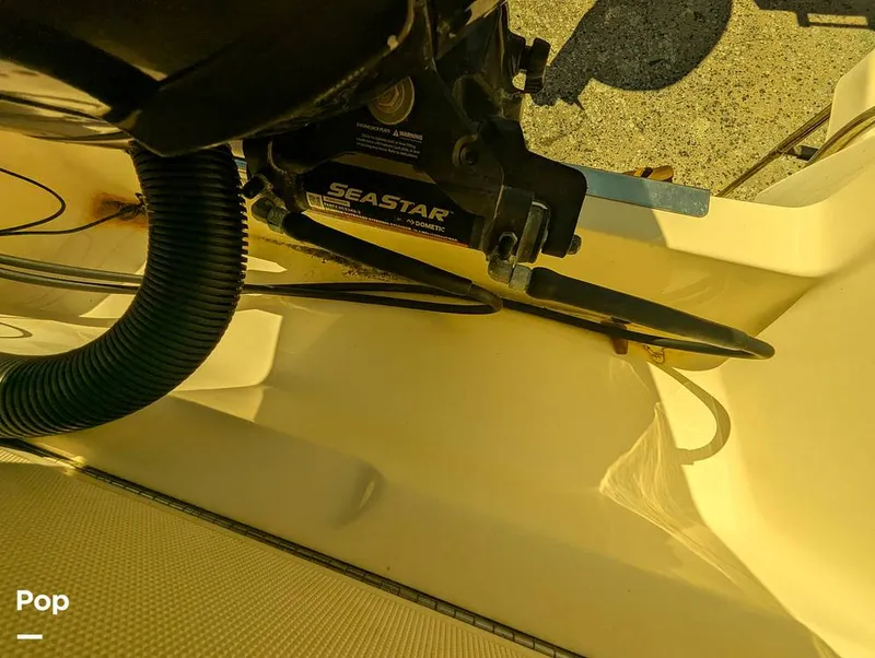 Slide: The Image of Scout 210 Dorado 2023 - 16785814