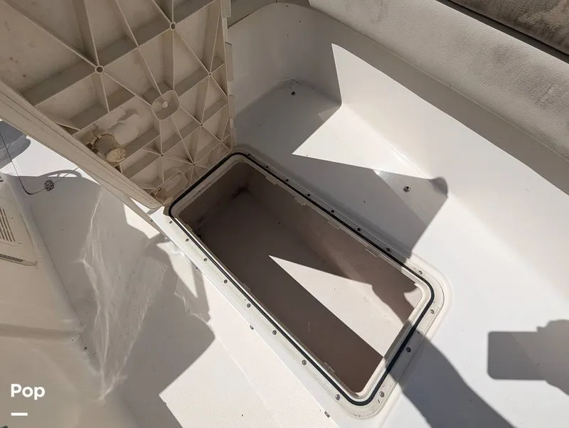 Slide: The Image of Scout 210 Dorado 2023 - 16785765