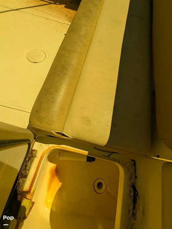 Slide: The Image of Scout 210 Dorado 2023 - 16785791