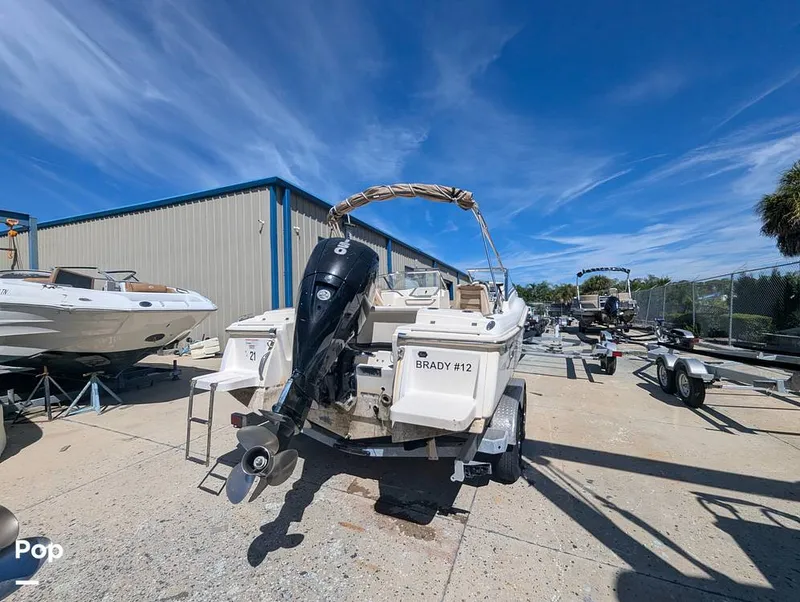 Slide: The Image of Scout 210 Dorado 2023 - 16785806