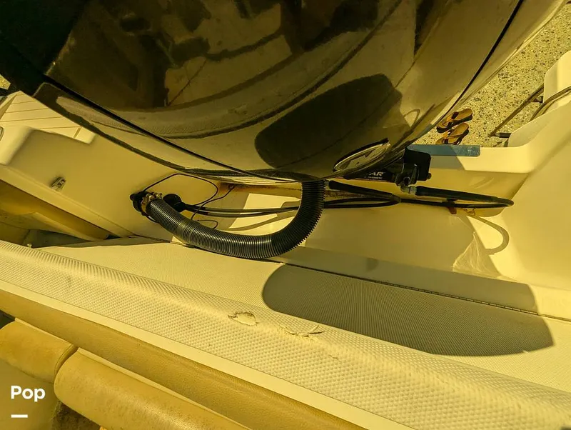 Slide: The Image of Scout 210 Dorado 2023 - 16785794
