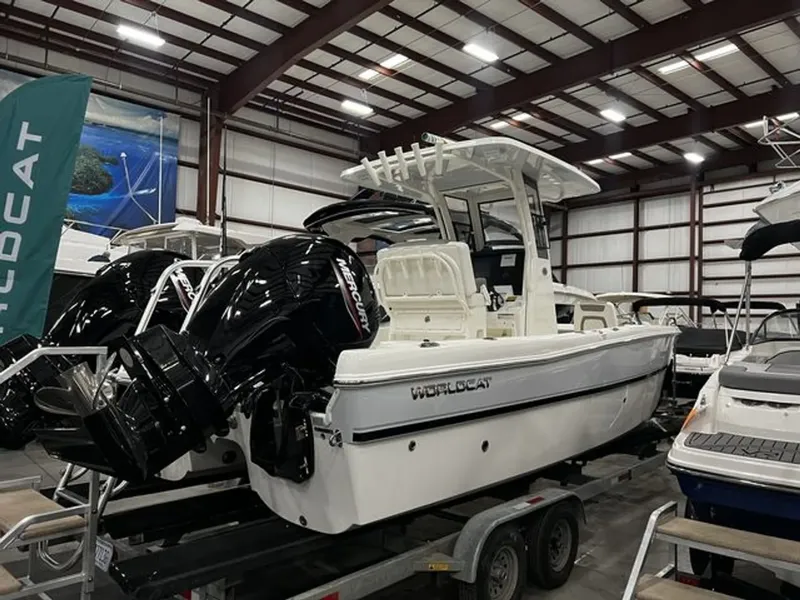 Slide: The Image of World Cat 235CC 2023 - 10