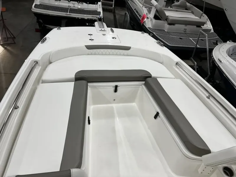 Slide: The Image of World Cat 235CC 2023 - 3