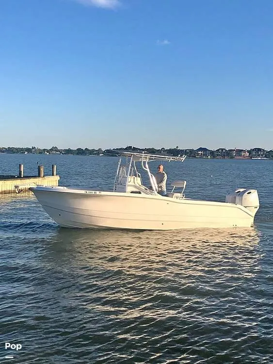 The Image of Sea Pro 255cc 2004 - 16382724