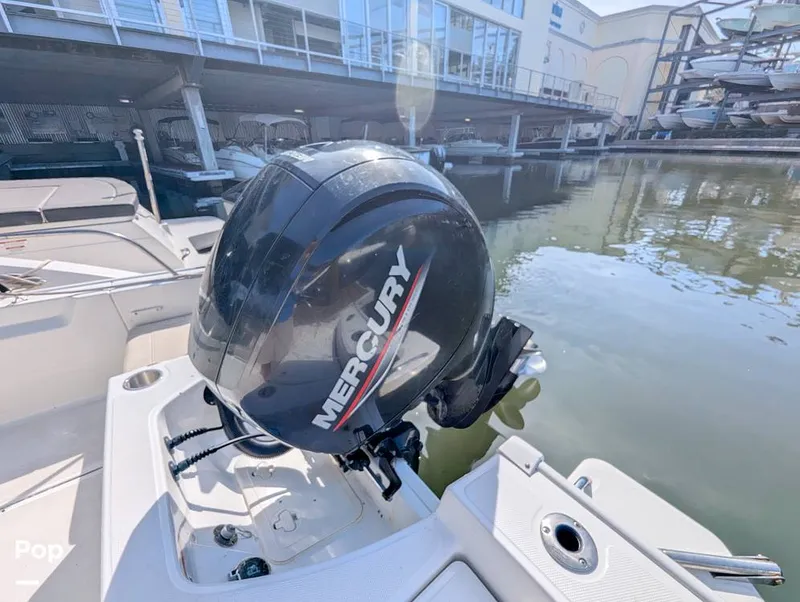 Slide: The Image of Boston Whaler 21 Montauk 2024 - 16392813