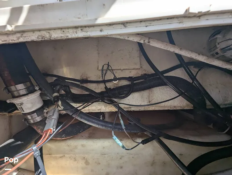 Slide: The Image of Boston Whaler 21 Montauk 2024 - 16392888