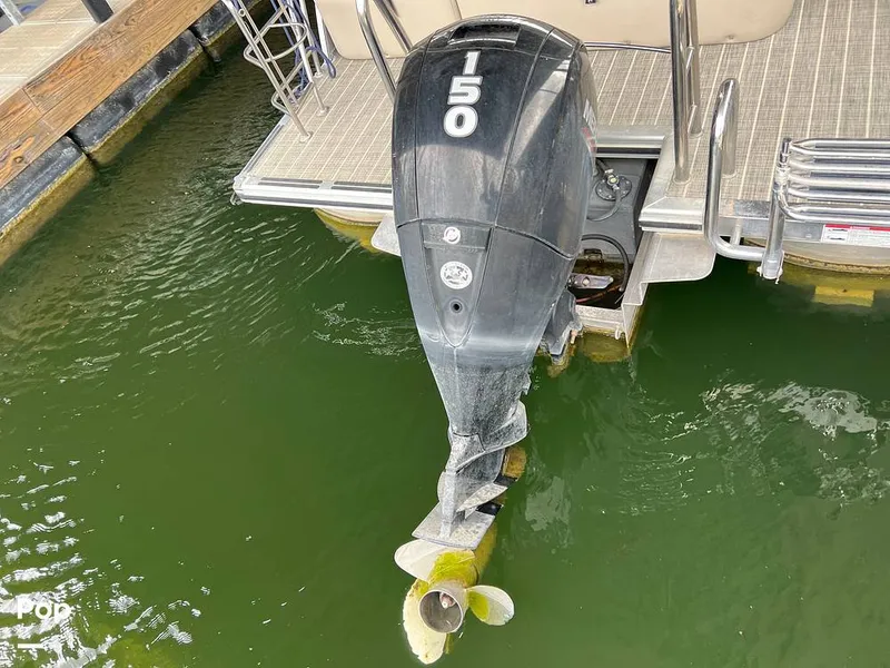 Slide: The Image of Harris Cruiser 230 2023 - 16426193
