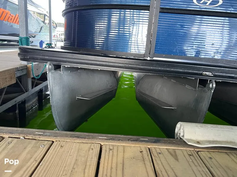 Slide: The Image of Harris Cruiser 230 2022 - 16407165