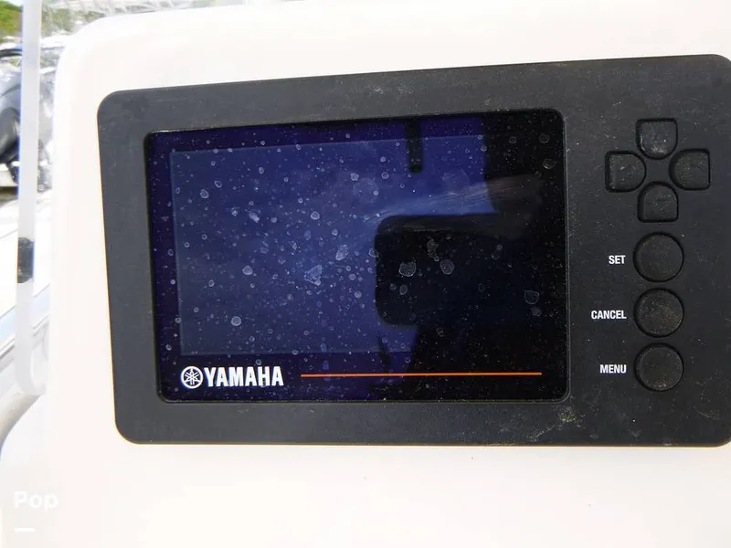 Slide: The Image of Cobia 237 CC 2020 - 16432130
