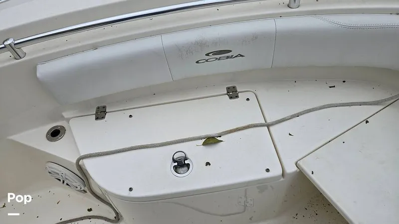 Slide: The Image of Cobia 237 CC 2020 - 16809176