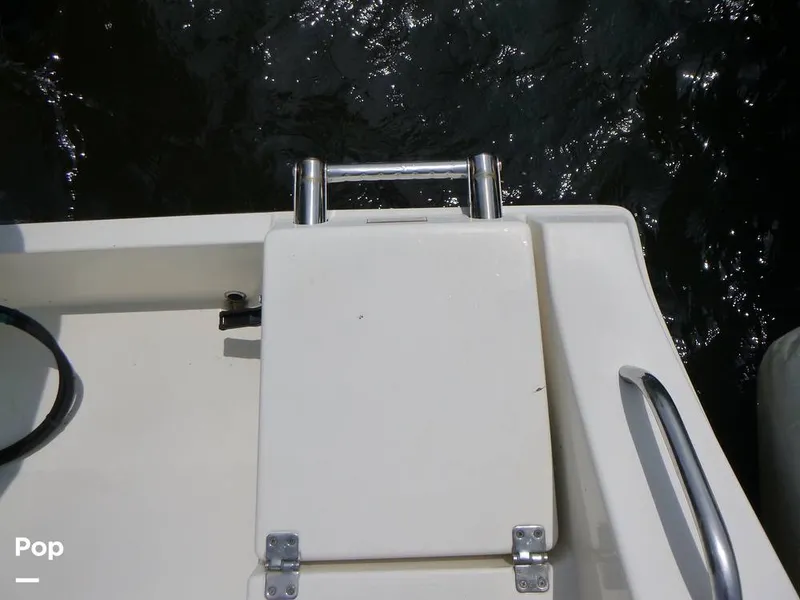 Slide: The Image of Cobia 237 CC 2020 - 16432105
