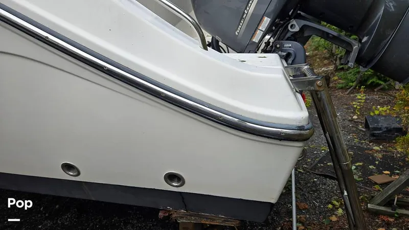 Slide: The Image of Cobia 237 CC 2020 - 16809166