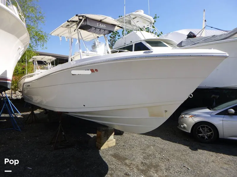The Image of Cobia 237 CC 2022 - 16442563