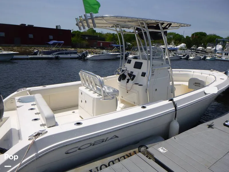The Image of Cobia 237 CC 2022 - 16436217