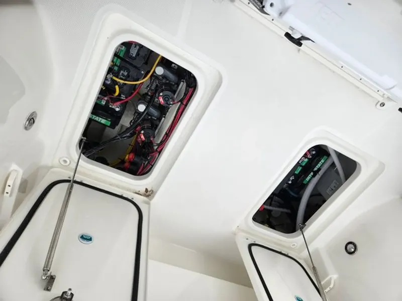 Slide: The Image of World Cat 260CC 2023 - 16