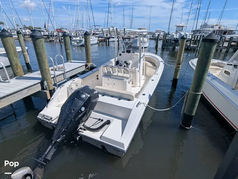 The Image of Cobia 237 CC 2023 - 16402320