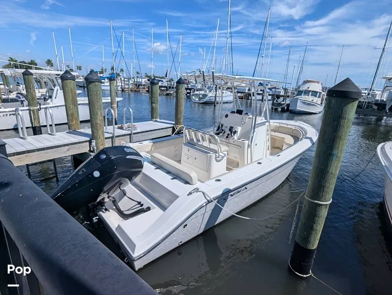 The Image of Cobia 237 CC 2023 - 16402319