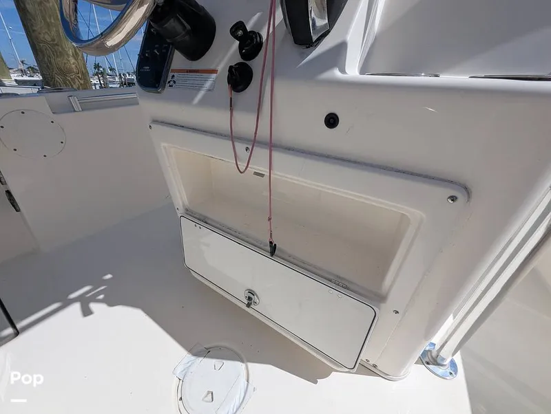 Slide: The Image of Cobia 237 CC 2023 - 16402346