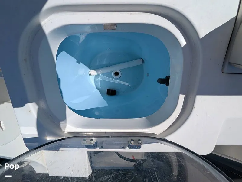 Slide: The Image of Cobia 237 CC 2023 - 16402385