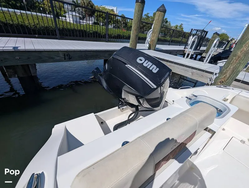 Slide: The Image of Cobia 237 CC 2023 - 16402454
