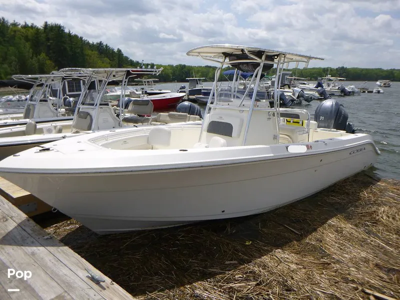 The Image of Cobia 237 CC 2022 - 16443951