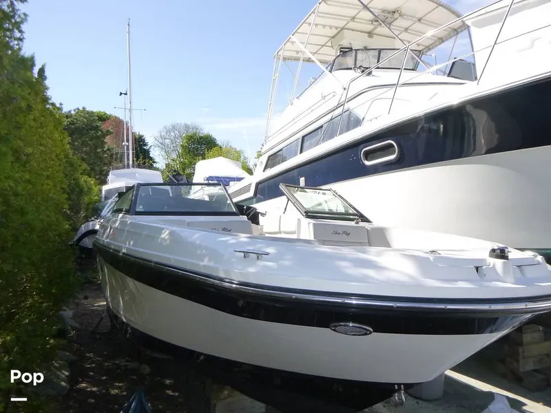 The Image of Sea Ray SPX 230 OB 2022 - 16436363