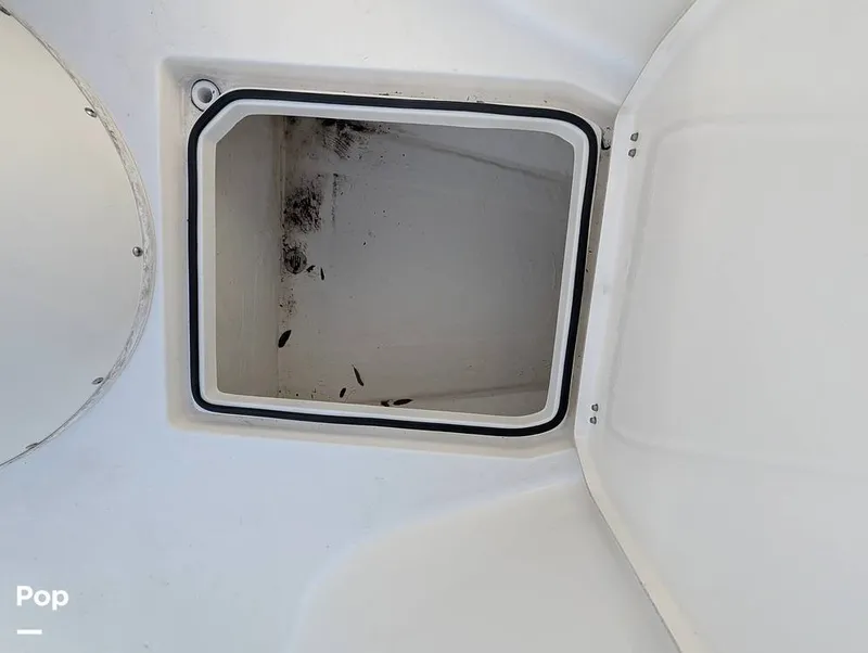Slide: The Image of Cobia 237 CC 2023 - 16442969