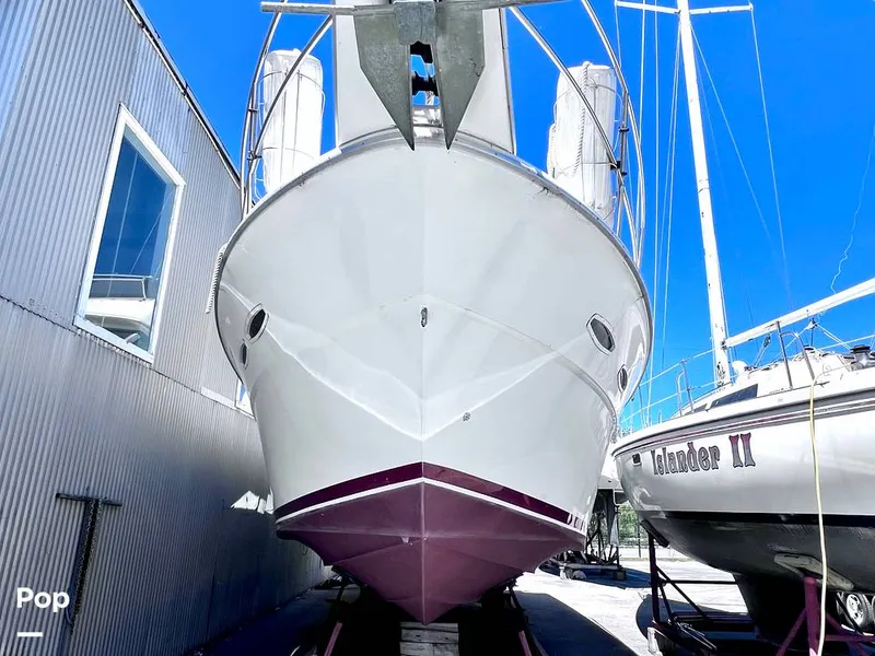 Slide: The Image of Sea Ray 390 Sportfish 1983 - 16517287