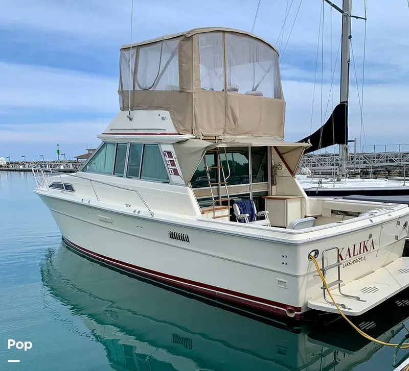 Slide: The Image of Sea Ray 390 Sportfish 1983 - 16432946