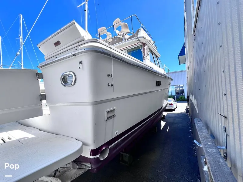 Slide: The Image of Sea Ray 390 Sportfish 1983 - 16517294